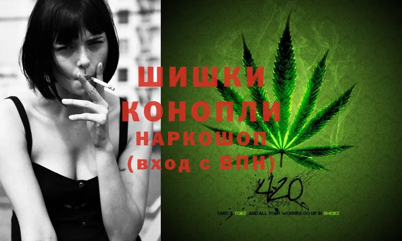 где найти наркотики  мега ссылка  Каннабис OG Kush  Кашира 